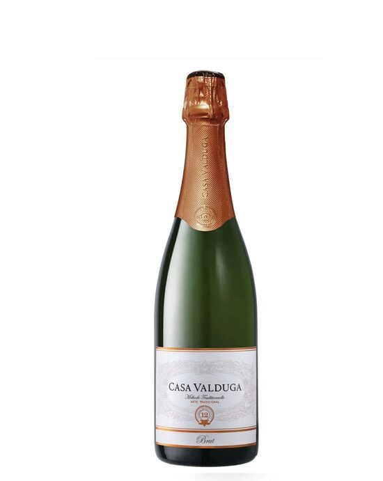 Espumante Arte Brut - Casa Valduga